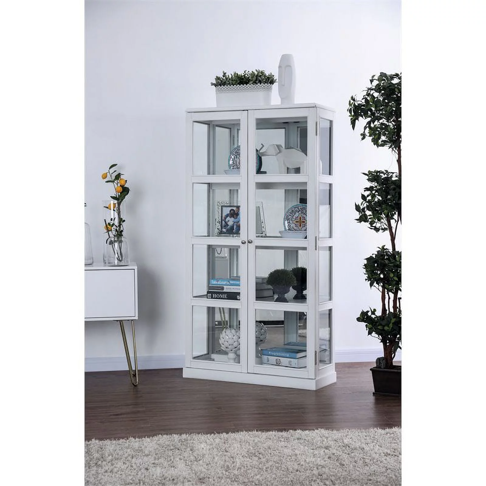 Furniture of America Mendes Transitional Wood 4-Shelf Curio Cabinet in White