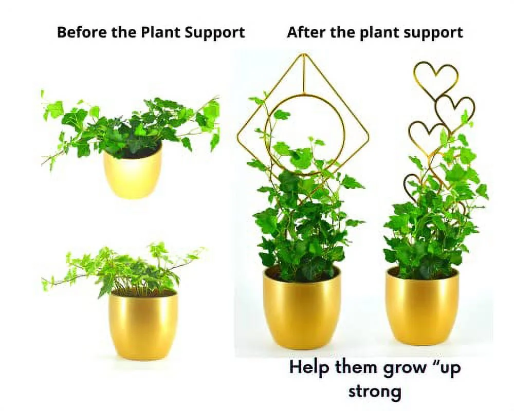 Chunhong Quality Steel Trellis for Climbing Potted Indoor Plants. Sturdy & Strong Vine Plant Support Stakes, Great Home Decor. Gift for Family & Friends. Set of 2
