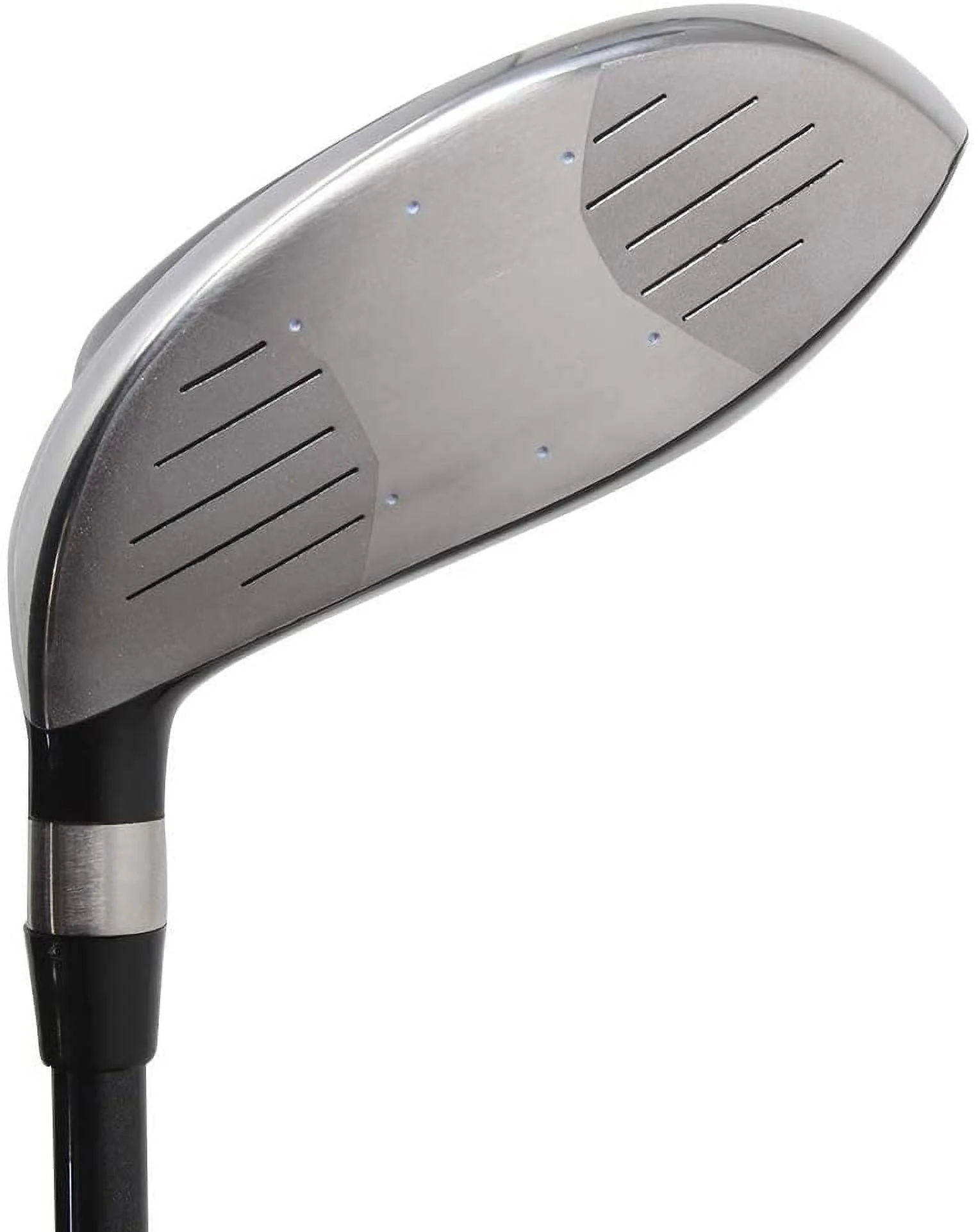 Big & Tall Men's (+1