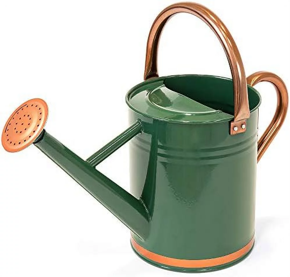 1-Gallon Lightweight Galvanized Steel Gardening Watering Can W/O-Ring, Top Handle, And Copper Accents
