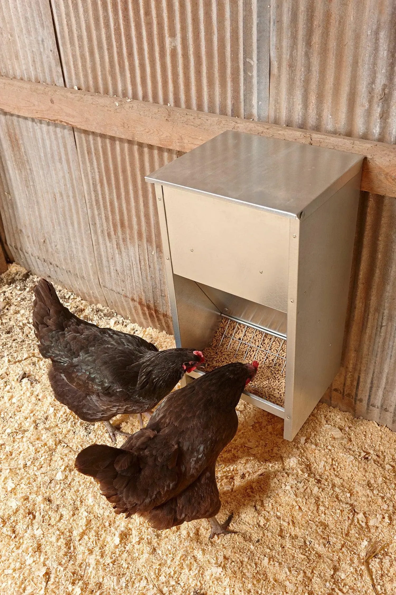 Little Giant Steel Galvanized High Capacity Poultry Feeder Up To 25lbs