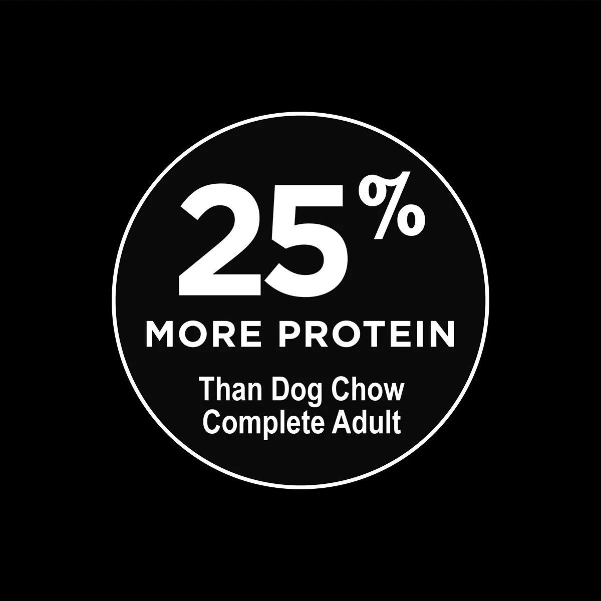 Purina Dog Chow Hi Protein Dog Food 44lb