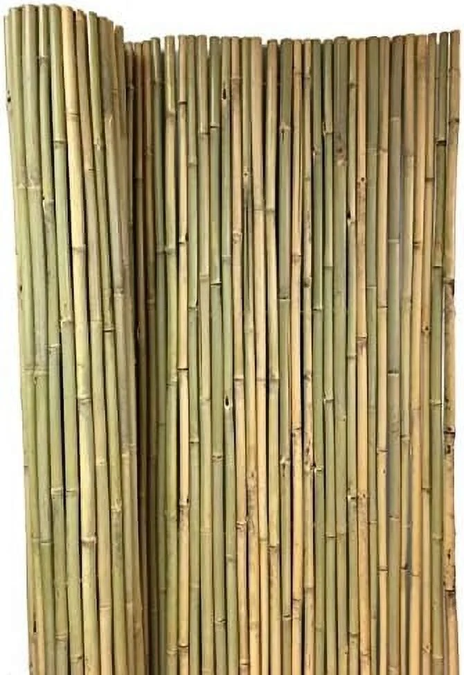 Tonkin Bamboo Fence 4'H X 6'L