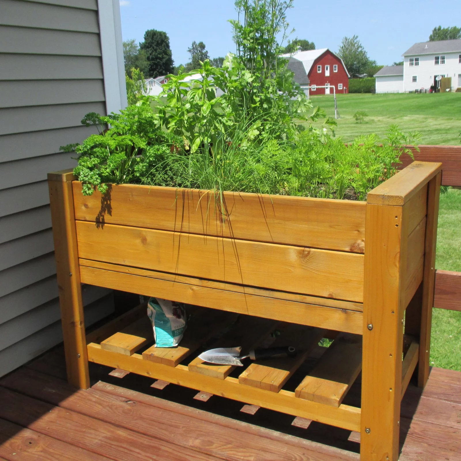 Infinite Cedar Elevated Planter Box with Shelf