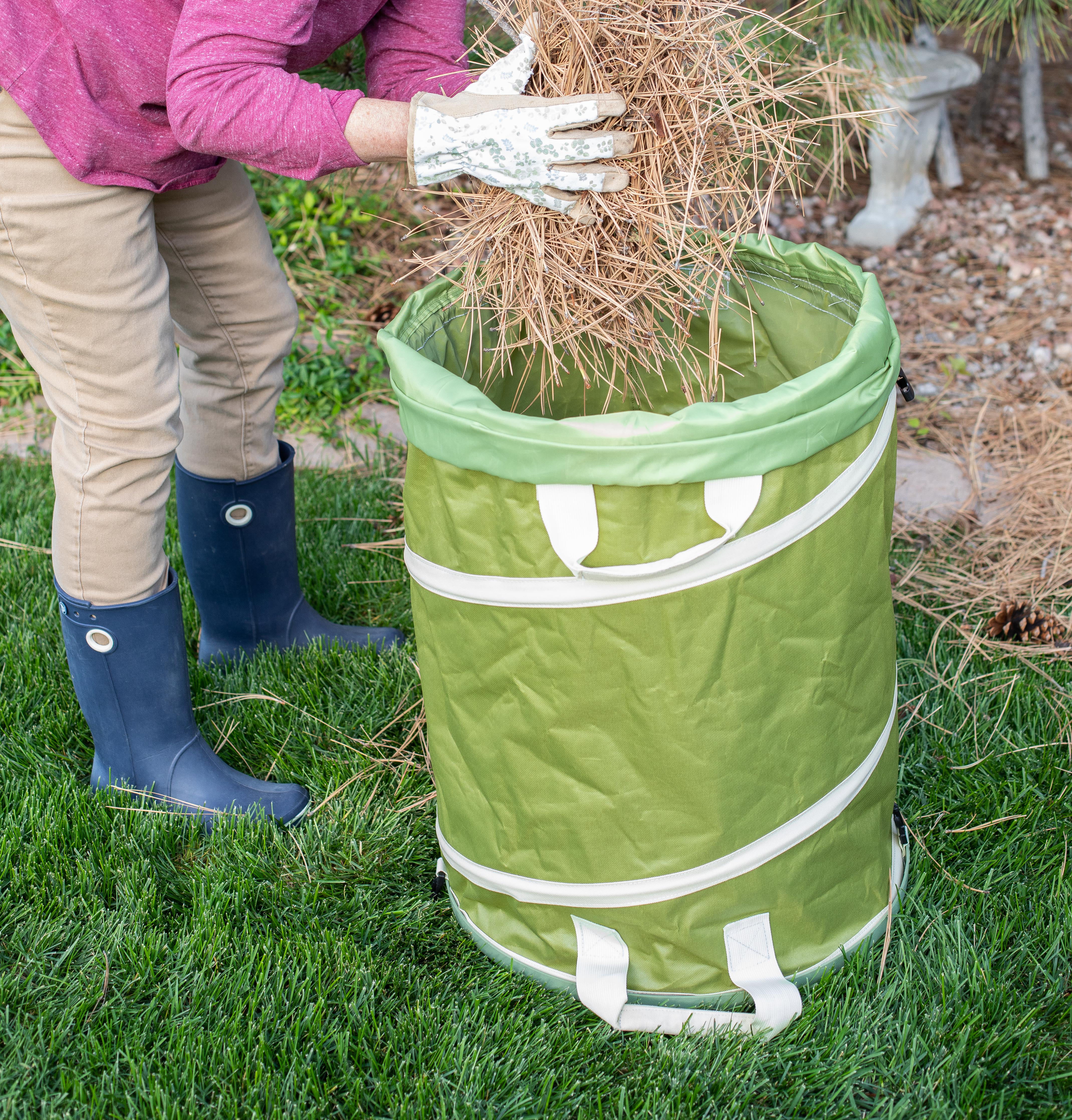BirdRock Home 30 Gallon Collapsible Lawn and Leaf Bag - Green