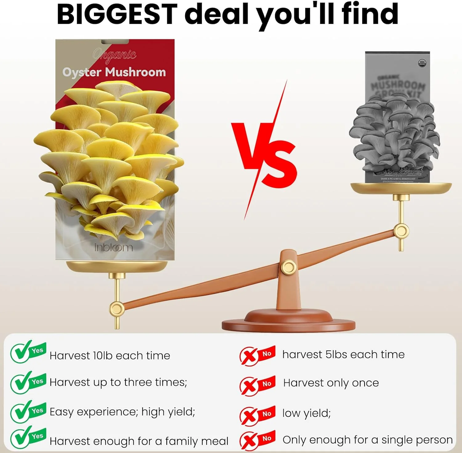 inbloom Organic Golden Oyster Mushroom Growing Kit (3.5lbs), Double-Sides Harvest Oyster Mushrooms in 8 Days Indoor, Great Gardening Gift, Birthday Gift, Holiday Gift, No-GMO, Made in USA