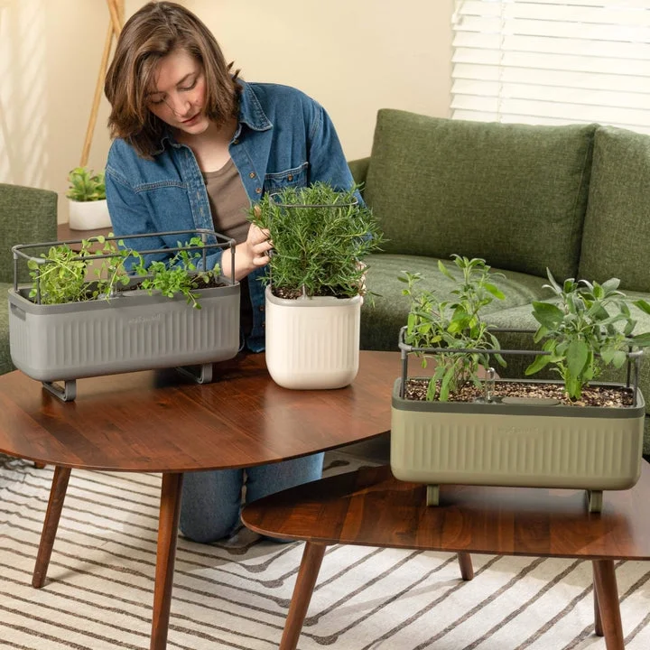 Vego Garden 2 Pack Self-Watering Mini Planter Box with Trellis Cream White