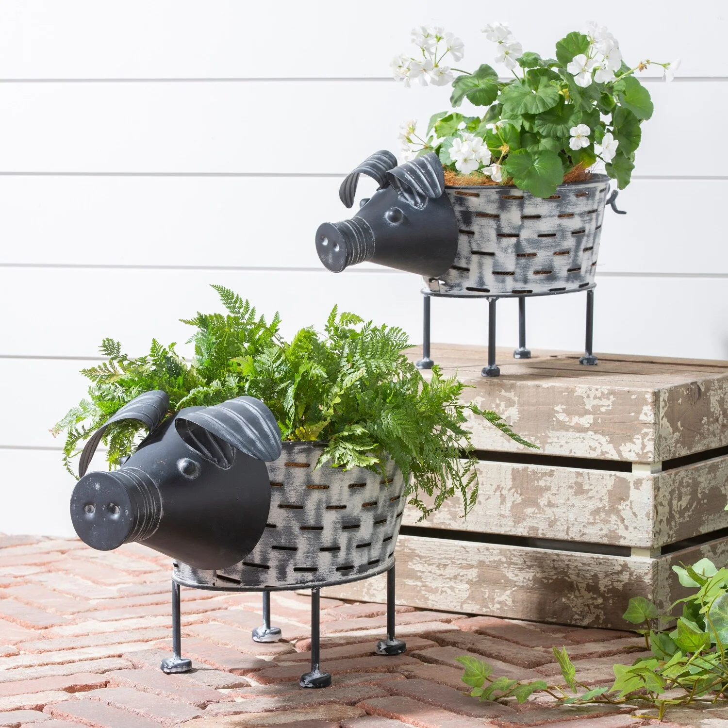 Rustic Pig Planter, Set of 2
