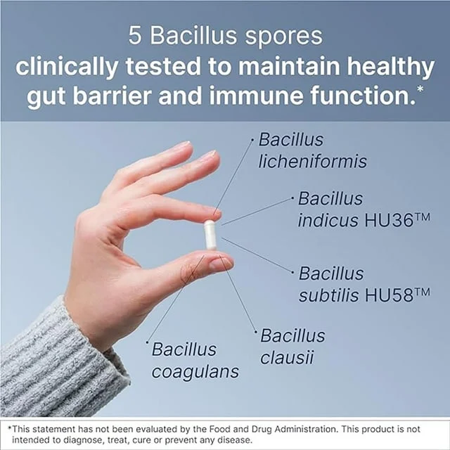 Microbiome Labs MegaSporeBiotic - 60 Count, Powerful Bacillus Subtilis & Coagulans, Digestive Wellness, Pack of 1