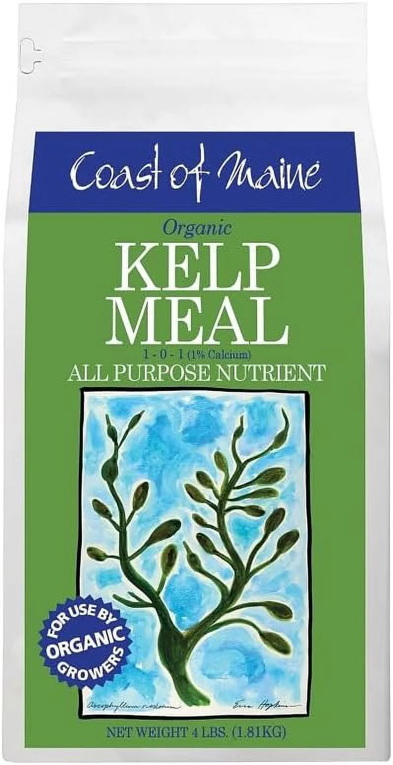 KM6000 Kelp Meal All Purpose Organic Plant Food 1-0-1, 4 Lbs. - Quantity 1
