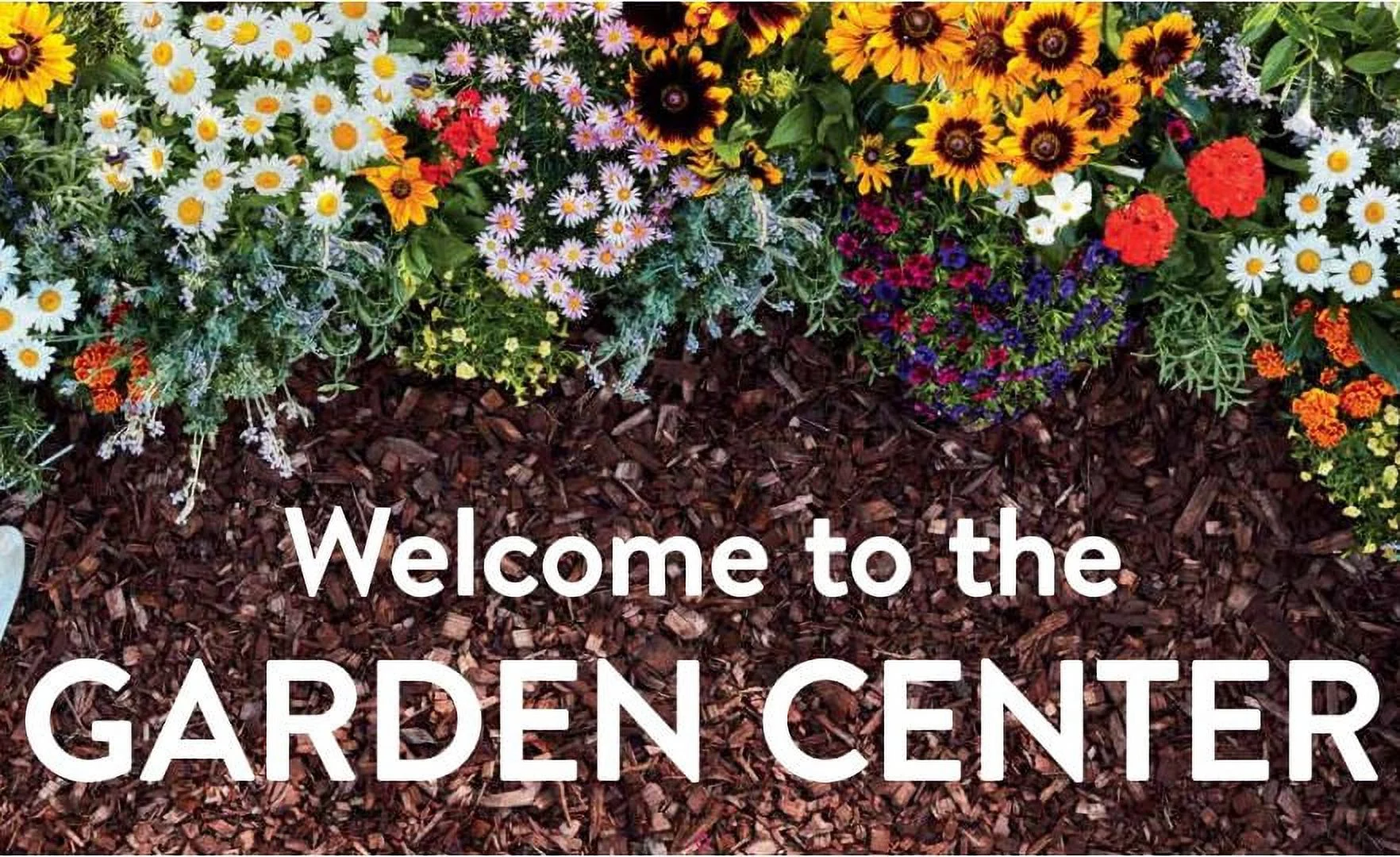 True Bloom Rose True Love Red, 2 gal pot