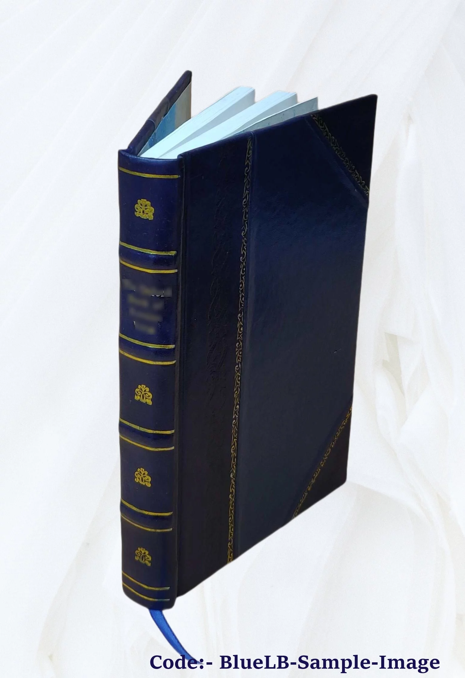 La médecine simplifiée, mise à la portée de tous les français et deux mot sur l’homéopathie et le magnétisme animal suivie sur une histoire des eaux minérales de... Ardèche 1842 [L