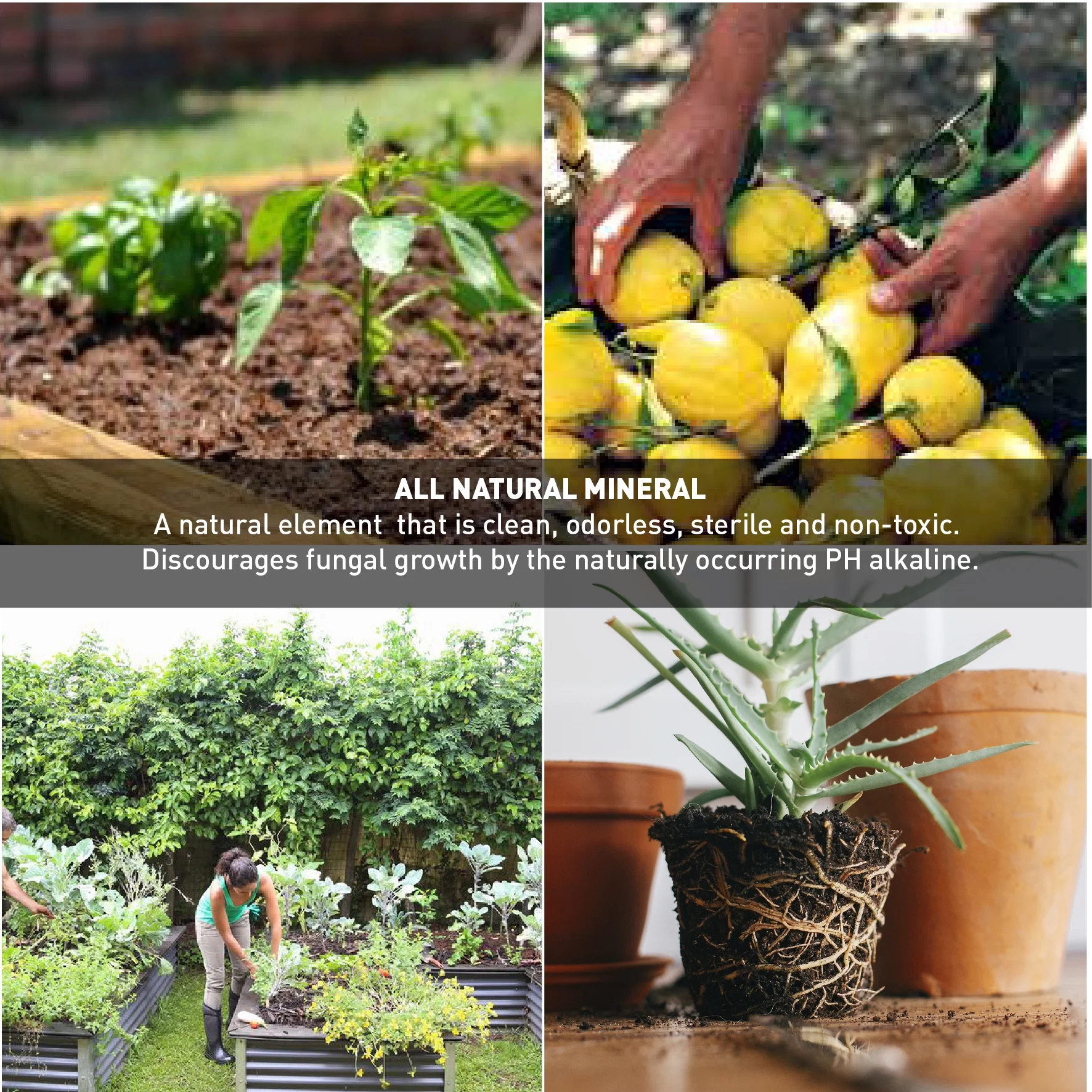 Palmetto Vermiculite - 4 Cubic Foot