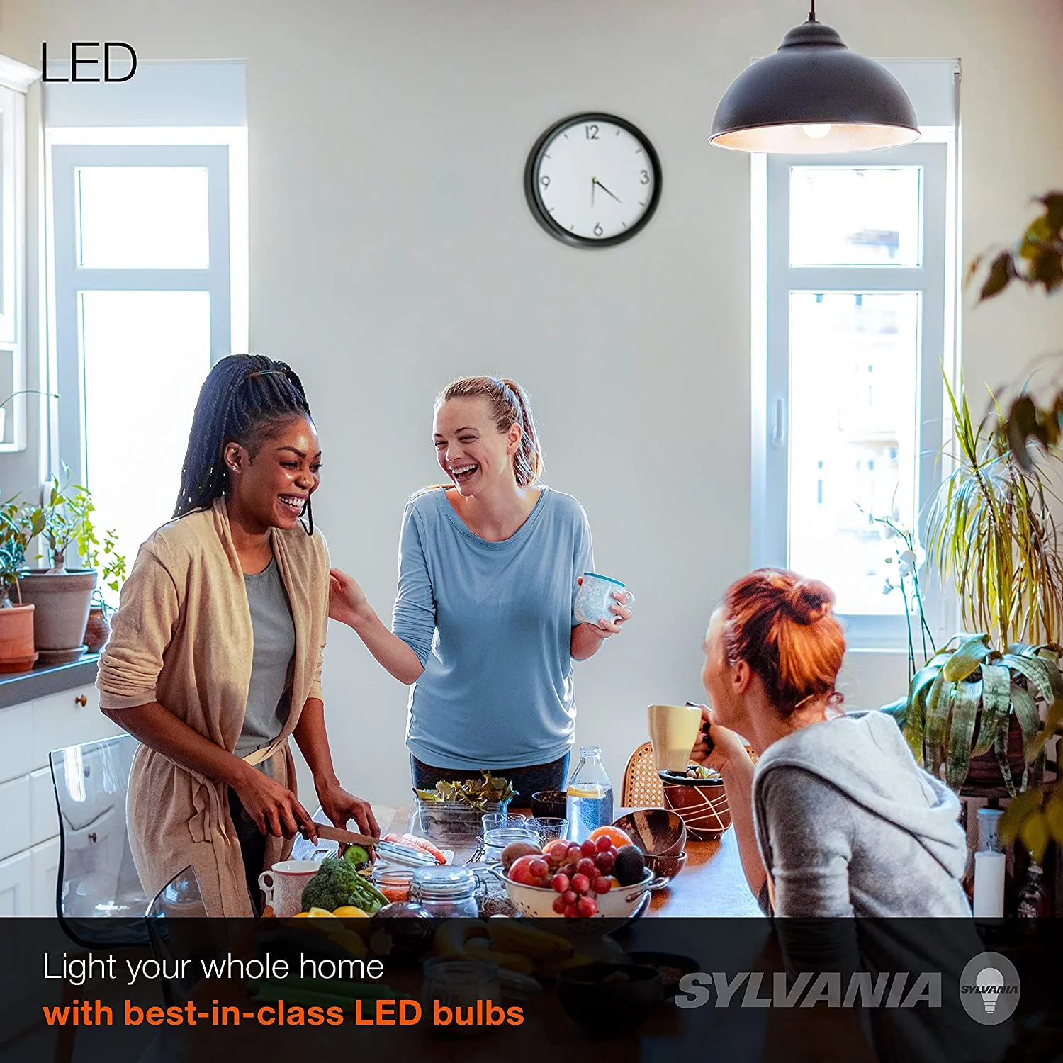 SYLVANIA LED Light Bulb, 75W Equivalent A19, Efficient 12W, Medium Base, Frosted Finish, 1100 Lumens, Daylight - 4 Pack (78100)