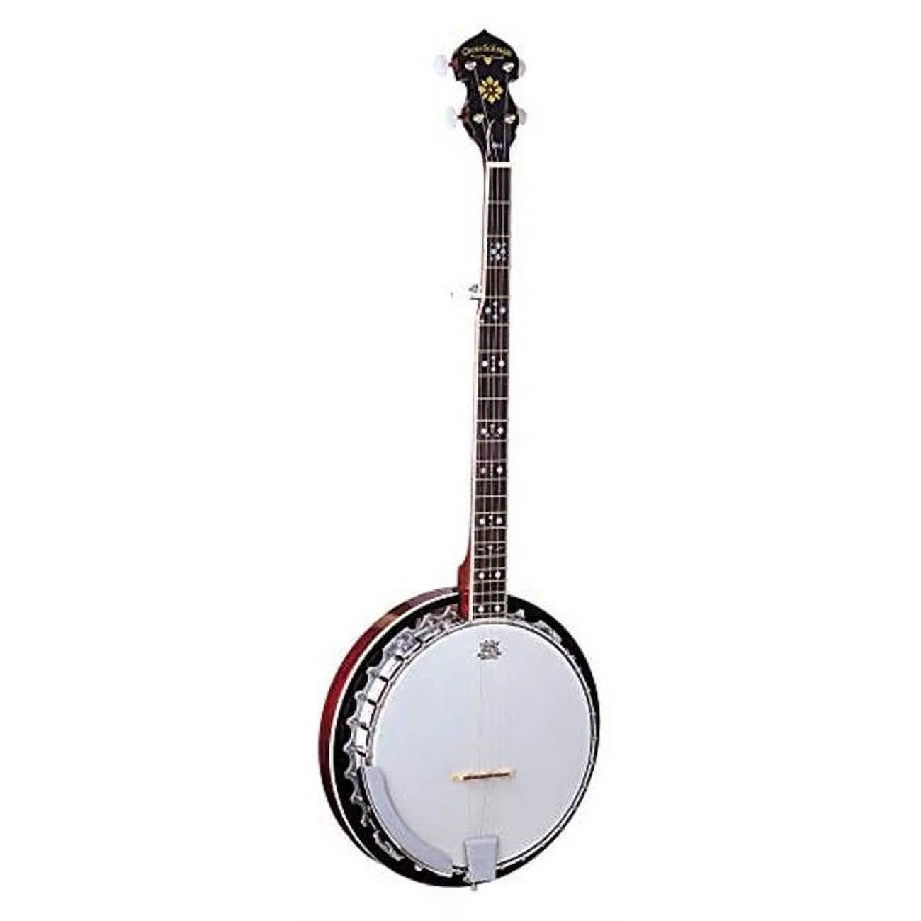 5-String Electric Banjo