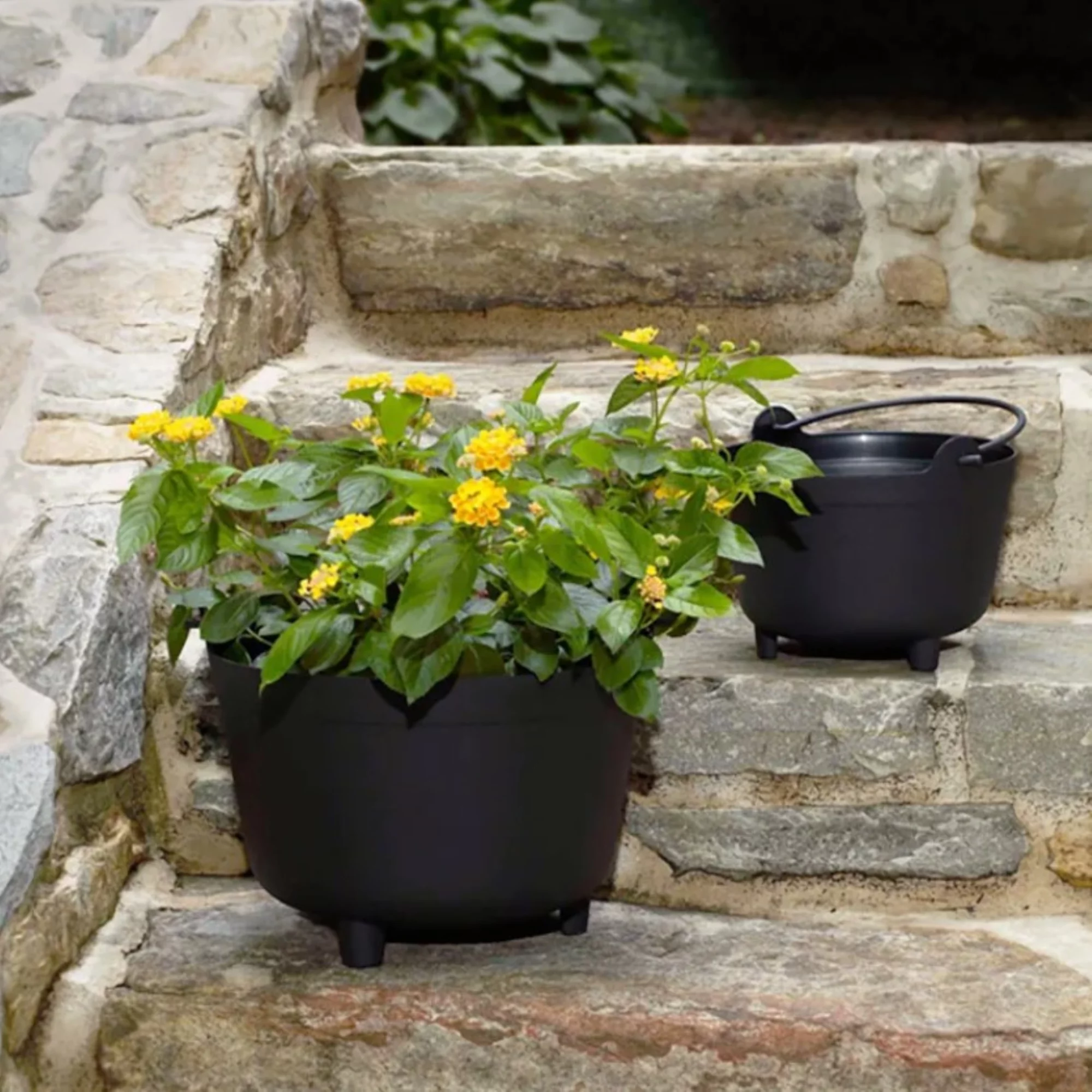 Novelty Antique Kettle, Black, 15-Inch