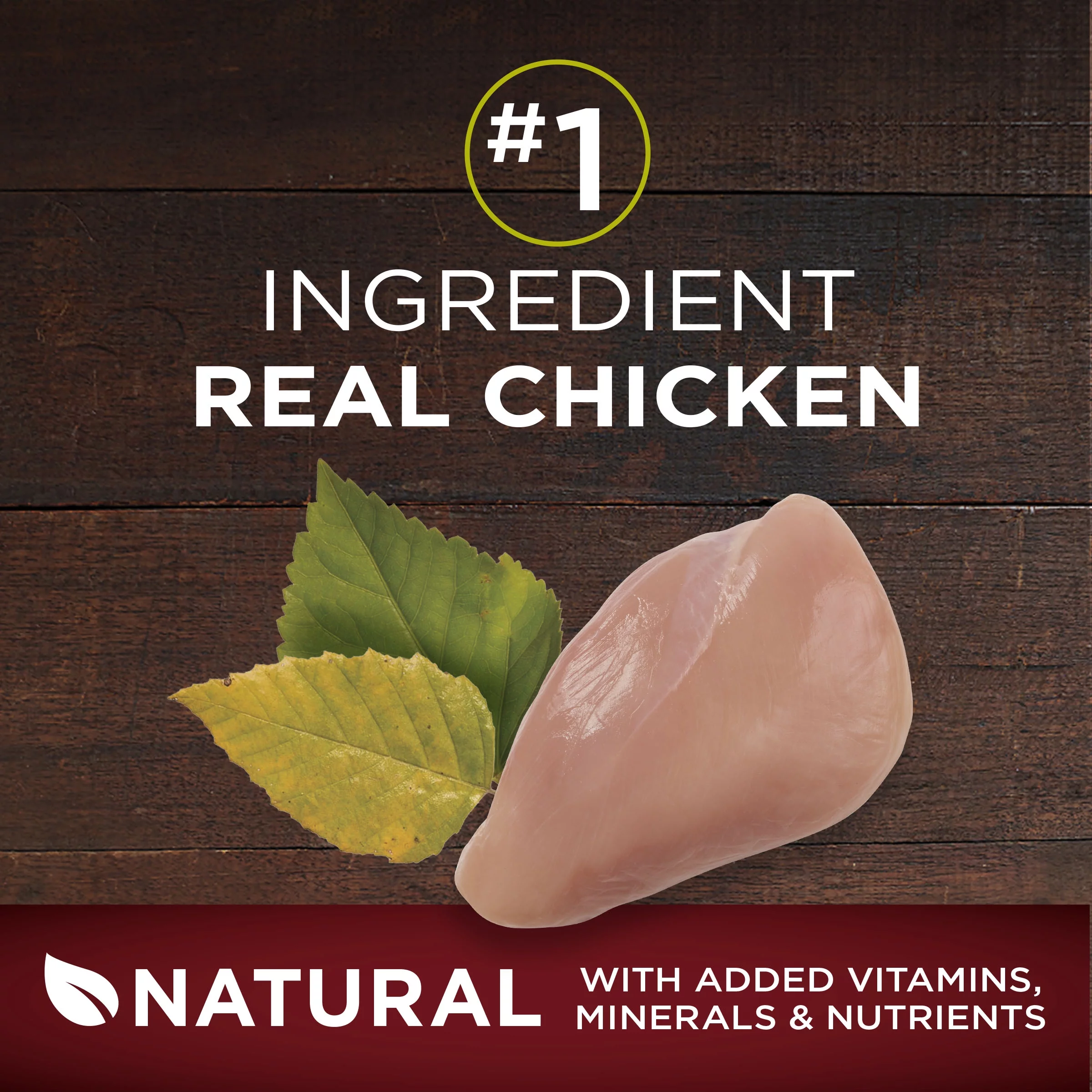 Purina ONE Grain Free, Natural, High Protein Dry Dog Food, SmartBlend True Instinct Real Chicken, 12.5 lb. Bag