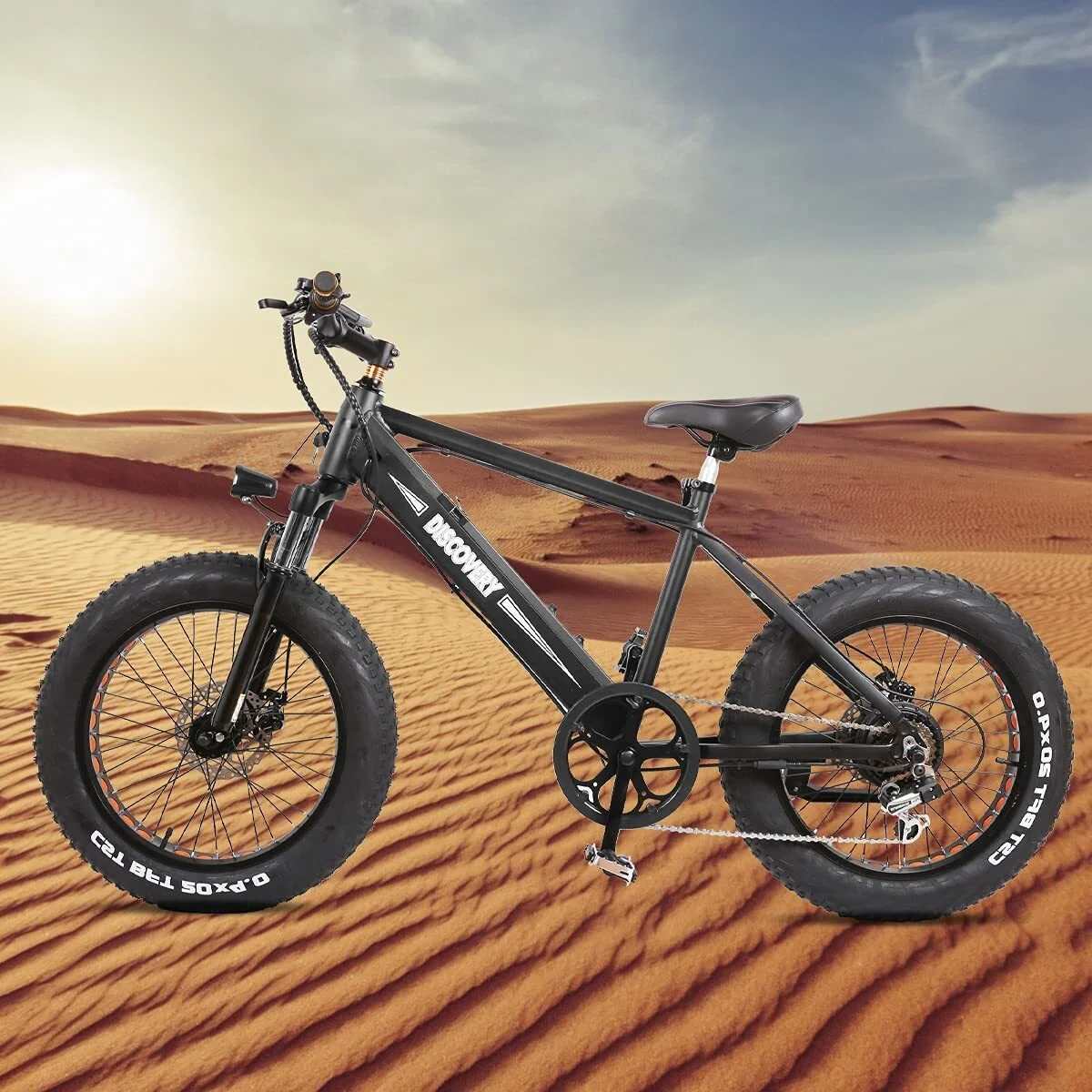 Electric Bike Electric Beach Bike 20