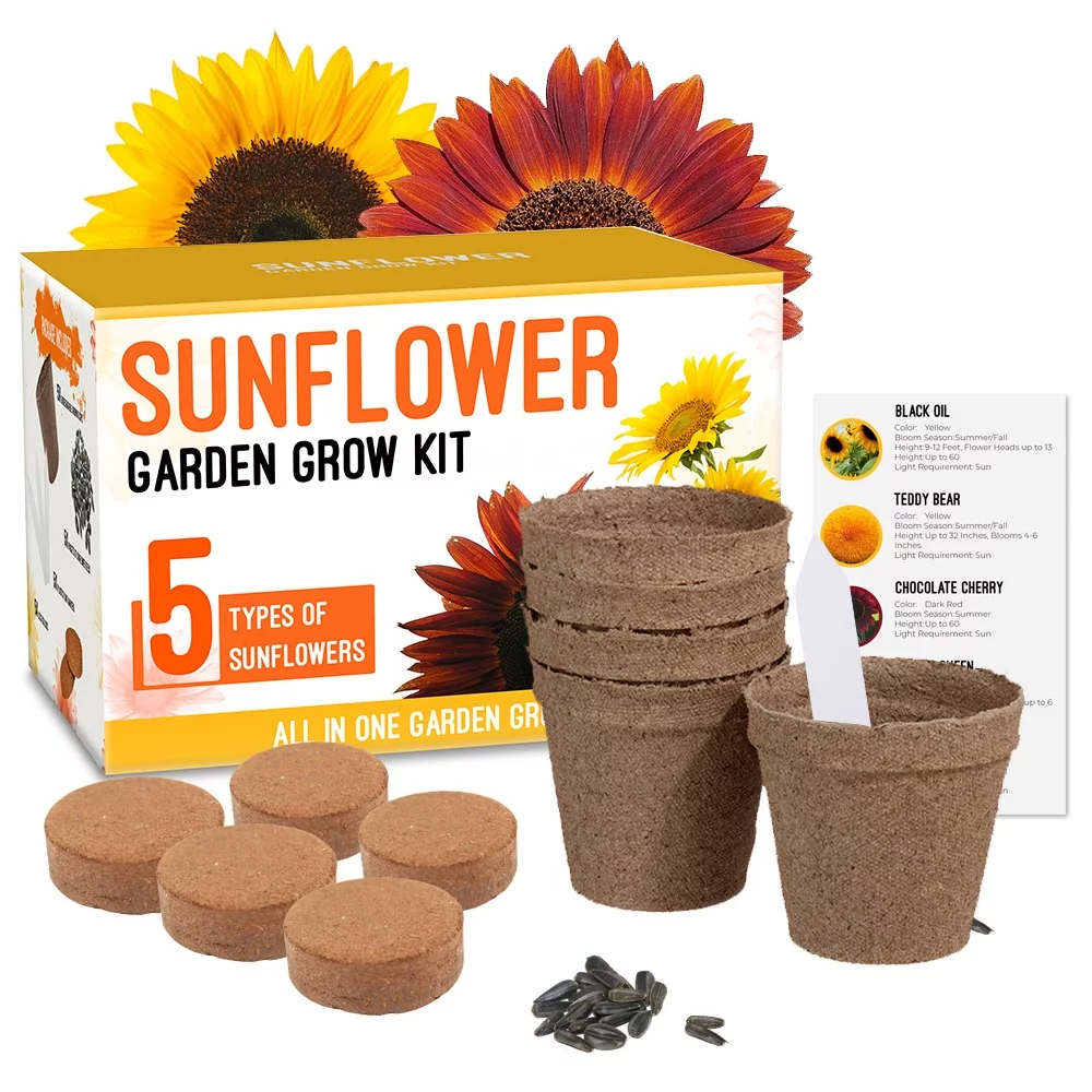 Sunflower Grow Kit - Grow 5 Different Sunflowers - A Complete Beginner Gardeners Gift Growing Set to Start Your Own Indoor Flower Garden
