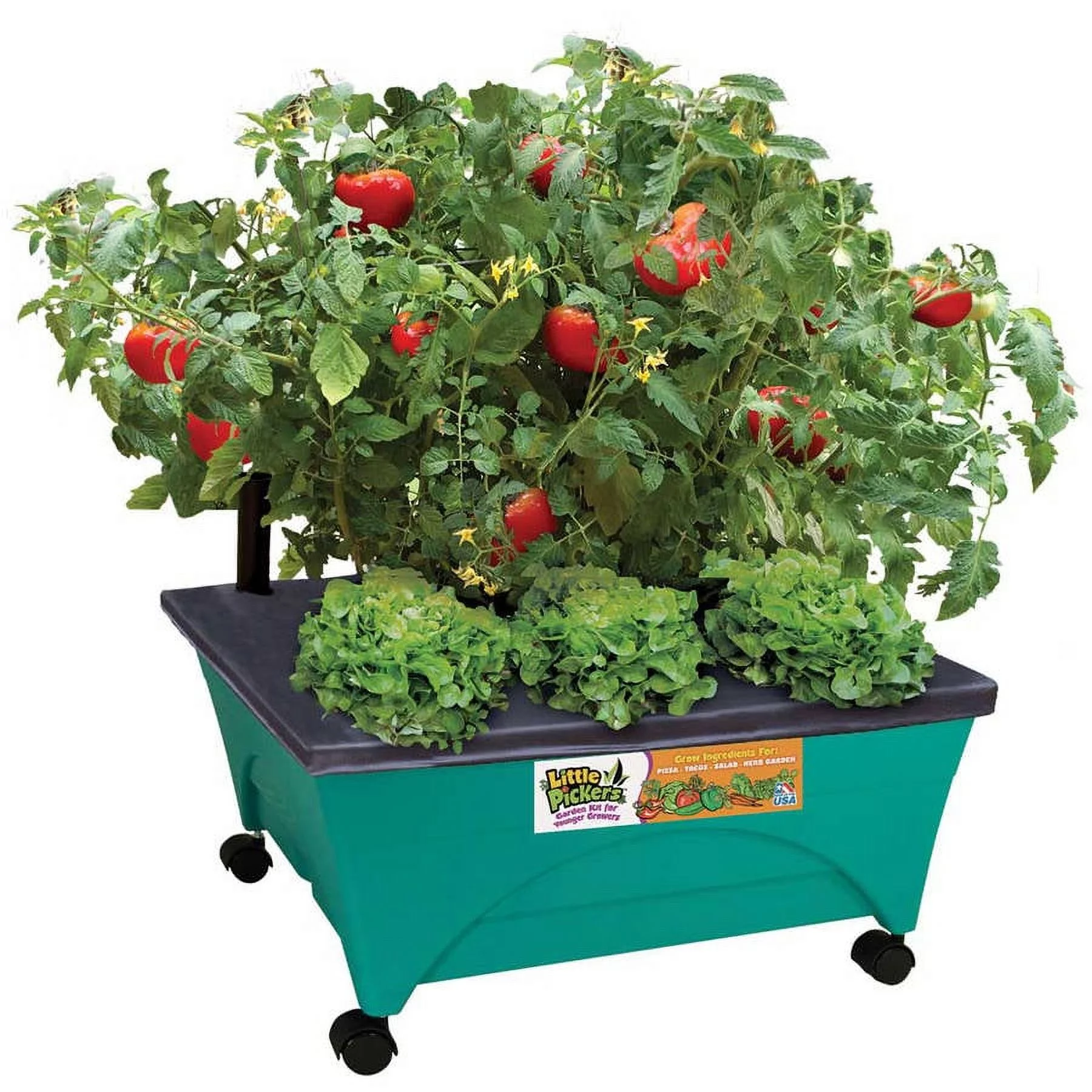 Emsco Group 2360 Little Pickers Child's Garden Grow Box Teal