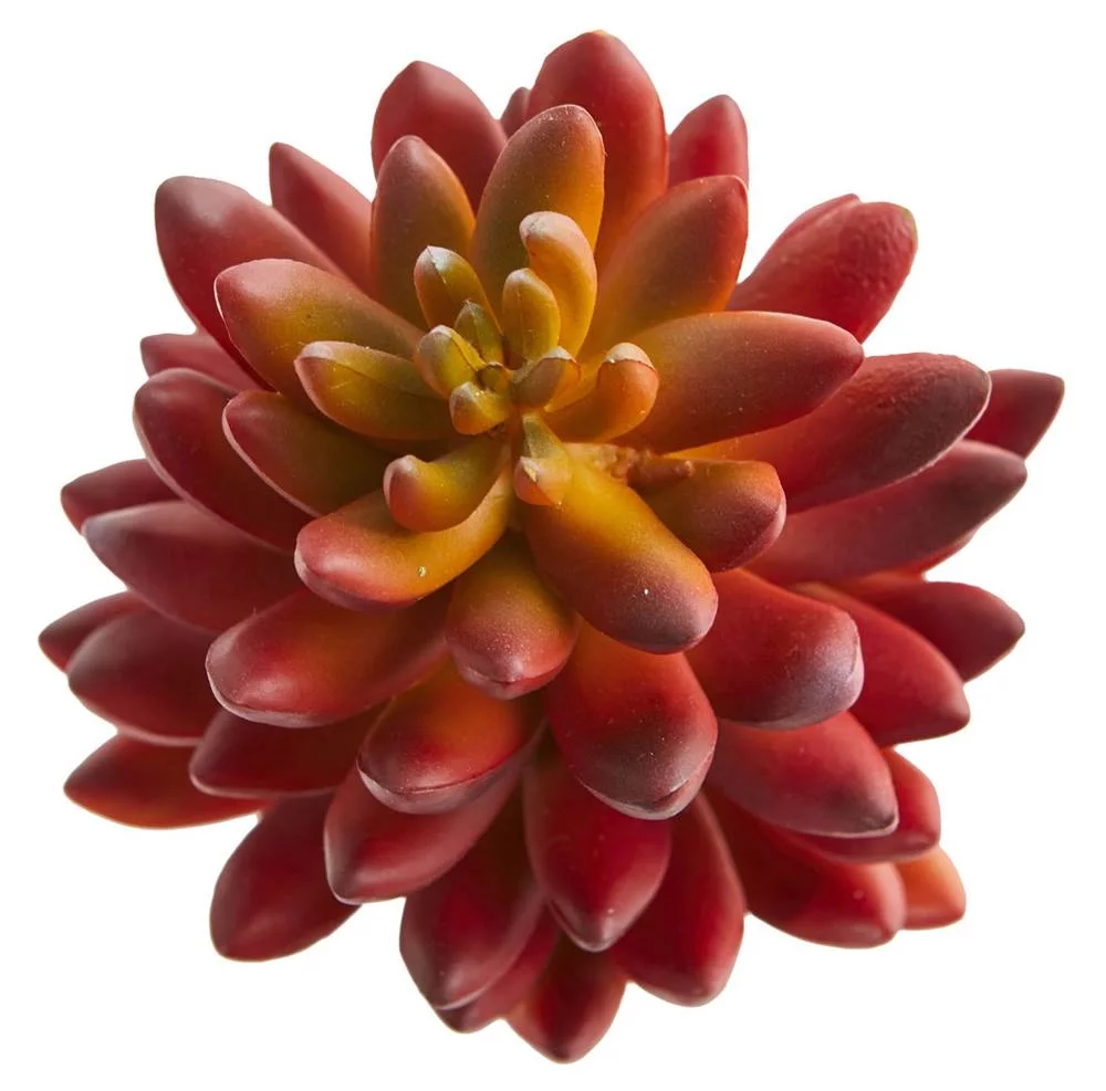Nearly Natural 7.5-In. Succulent Artificial Plant (Set of 6)
