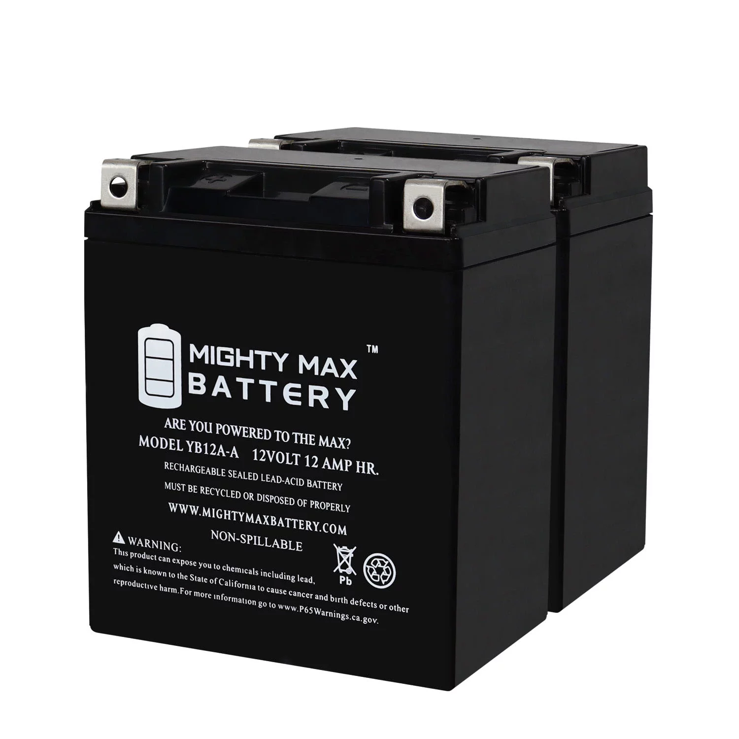 YB12A-A 12V 12AH Replacement Battery compatible with Yamaha Bruin 350 Yfm350 04-06 - 2 Pack