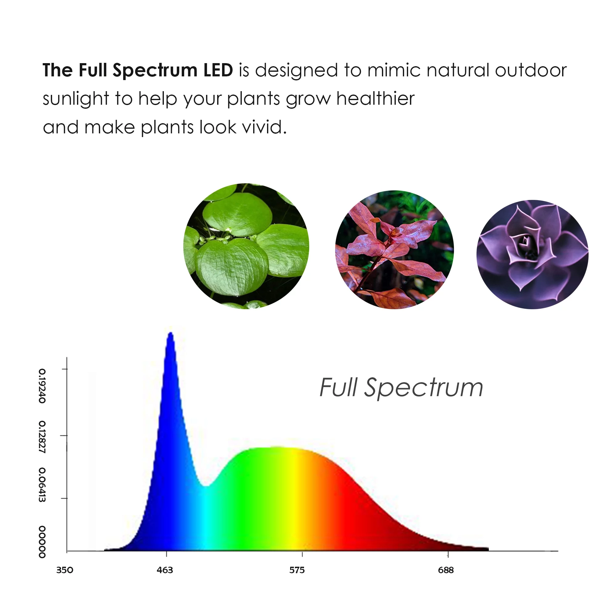 Full Spectrum LED Light with Bamboo Board, fits Aquarium Nano Tank, Betta Fish Tank, Potted Plants, Succulent, Miniature Landscape (5W)