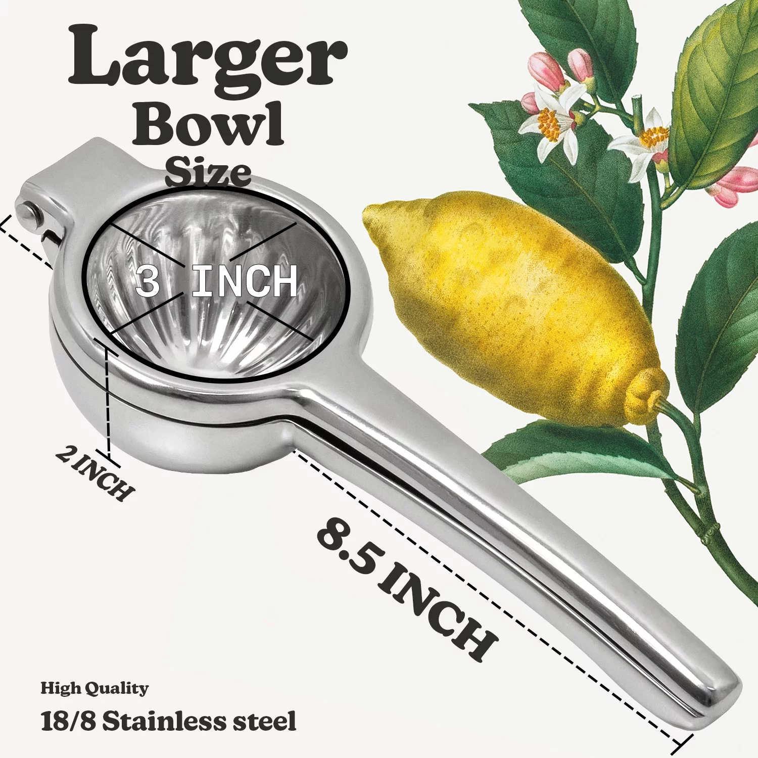 Malai Exclisive Light Weight Manual Lemon Squeezer Stainless Steel Citrus Fruit Lime And Lemon Juicer
