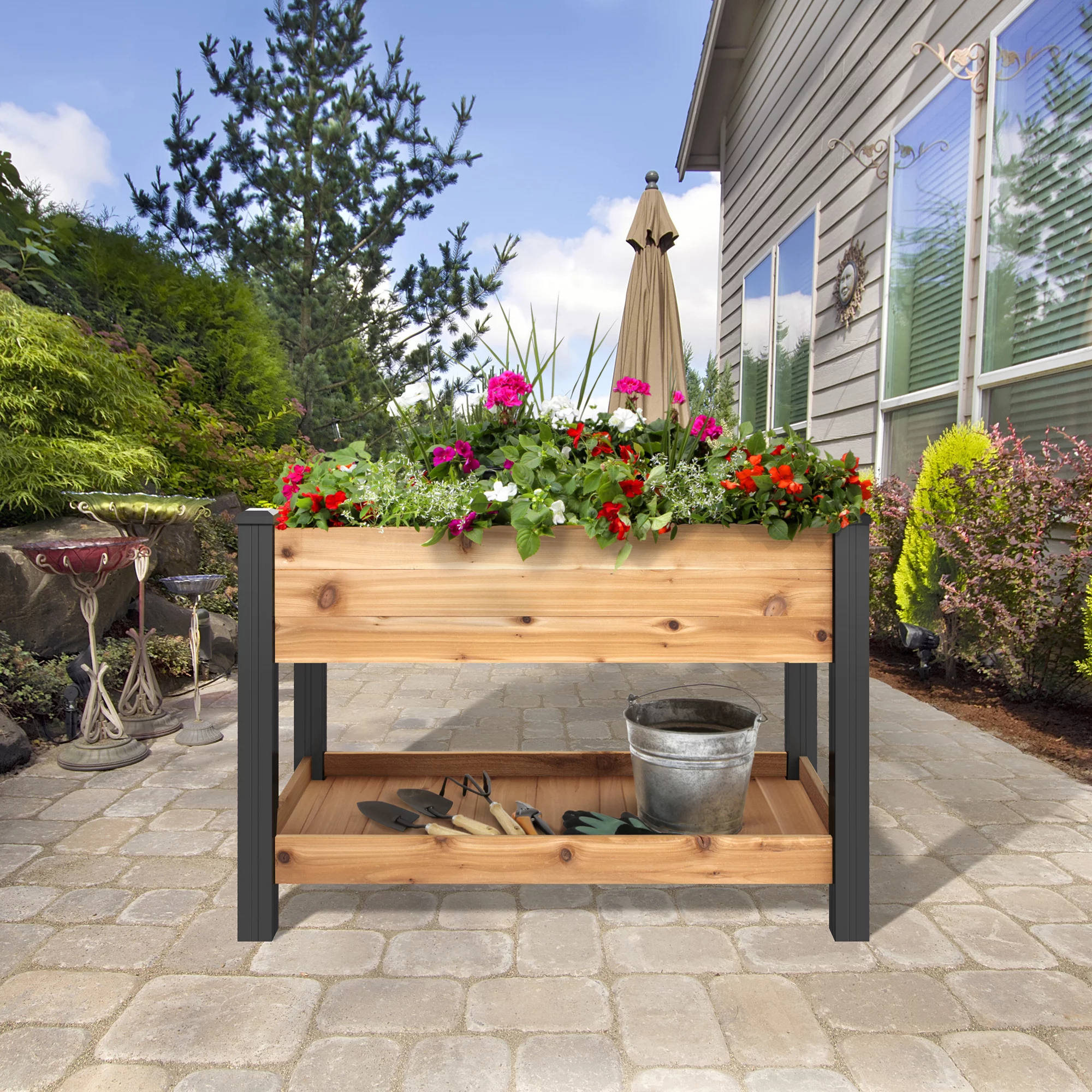 Outdoor Essentials Haven 2 ft. x 4 ft. Natural Cedar Elevated Garden Planter with Shelf (Tool Free)