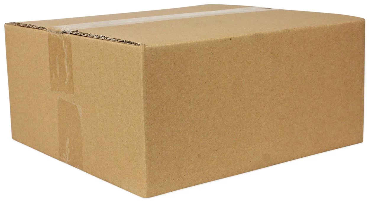 Rockville RVP12W4 600 Watt 12