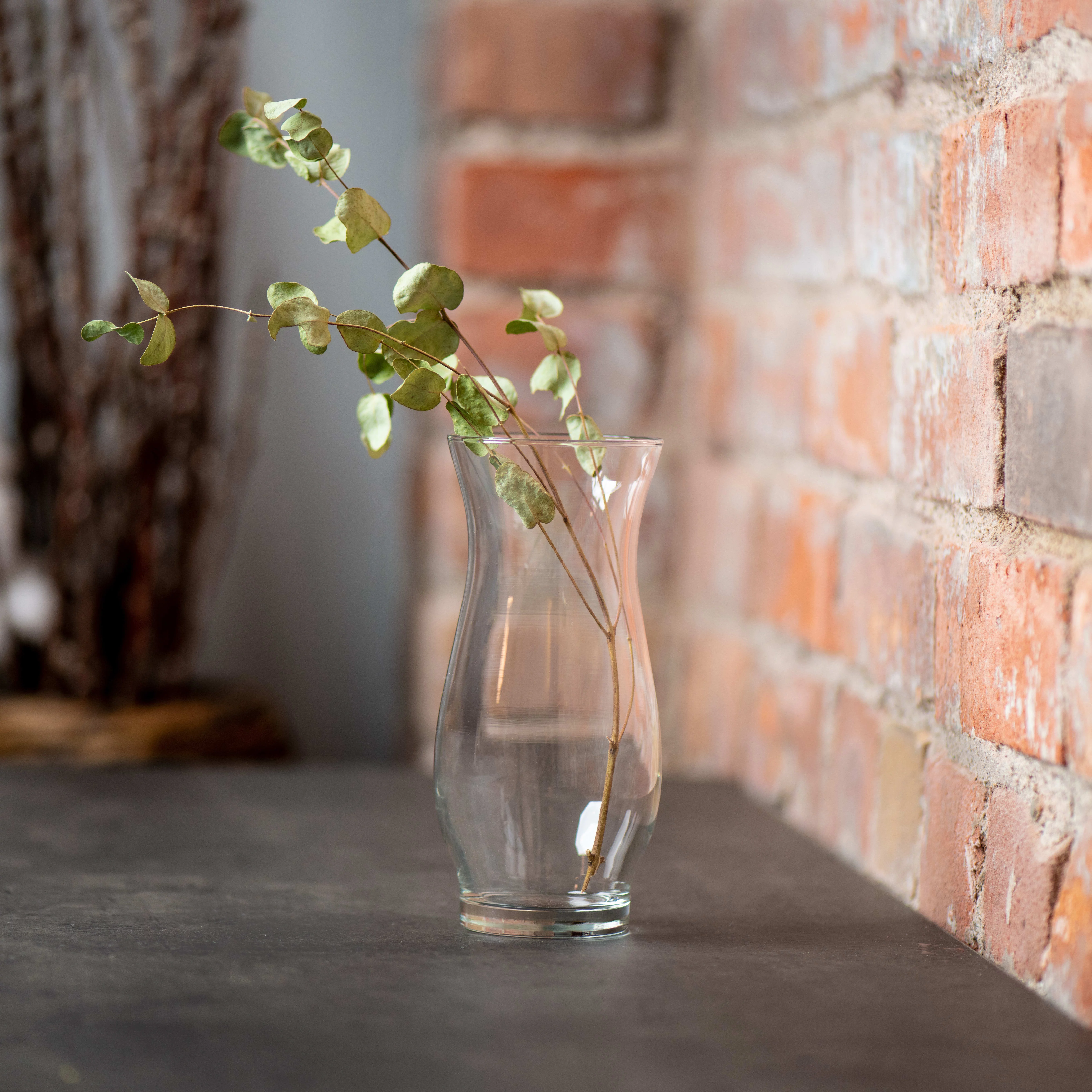 Libbey Hana Glass Vase, 8.5-inch, Set of 4