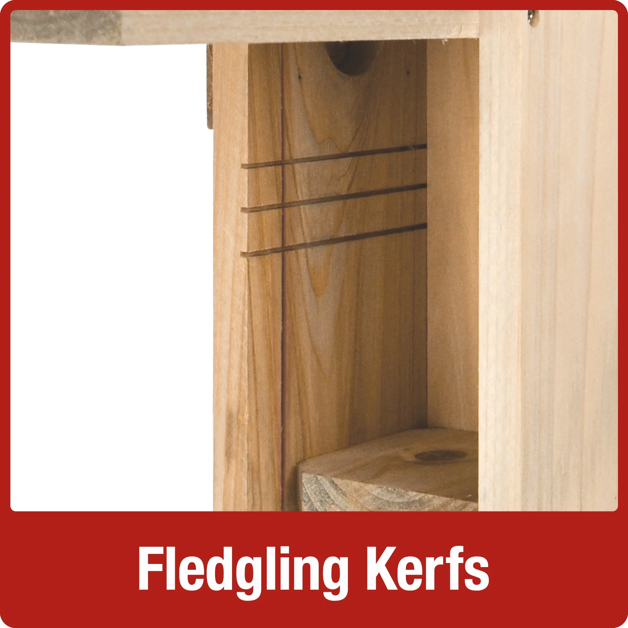 Nature's Way Cedar Bluebird Viewing House, Brown