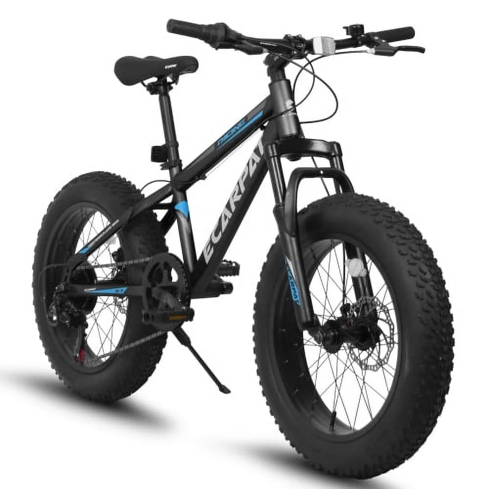 20 Inch Fat Tire Bike Adult/Youth Full Shimano 7 Speed Mountain Bike, Dual Disc Brake, High-Carbon Steel Frame, Front Suspension, Mountain Trail Bike, Urban Commuter City Bicycle,Fat tire bike