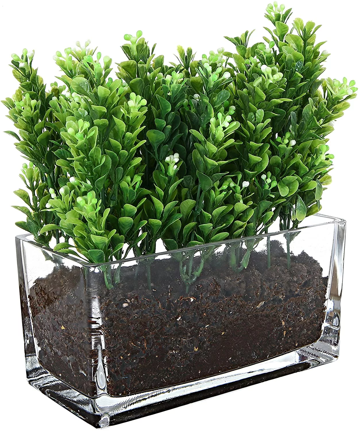 MyGift 7.5 Inch Rectangular Clear Glass Vase