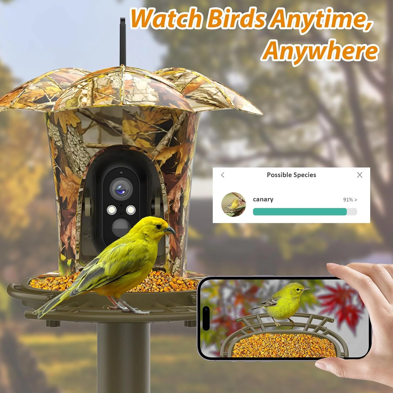 Smart Bird Feeder Camera, 1080P HD, 11000+ Bird Species Camera Auto Capture, 6W Solar Panel Bird Species, Bird House with 64G Card for Bird Lover