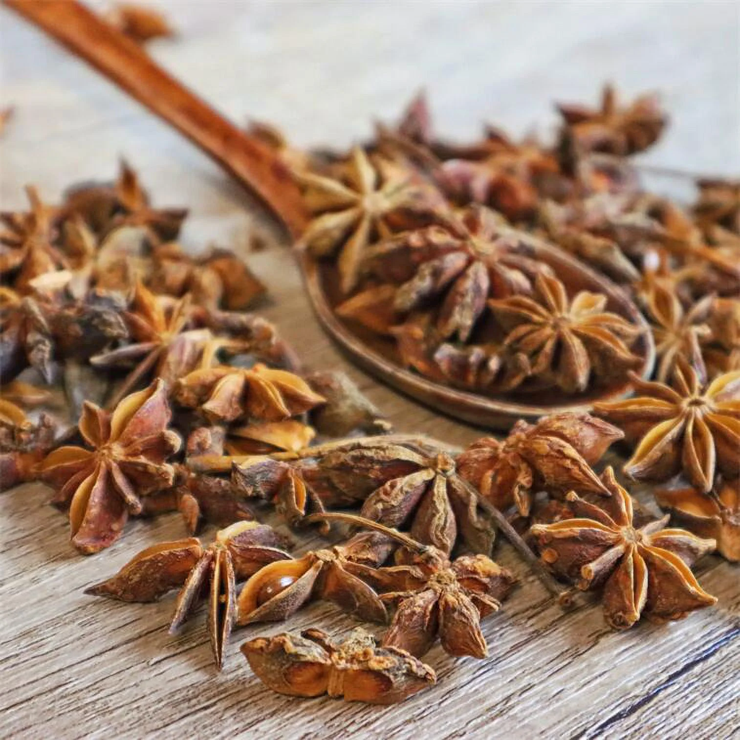 Royal Seafood USA Premium Dried Anise Seed, Dried spice way star Anise, Whole Star Anise, 4oz/bag, Bajiao