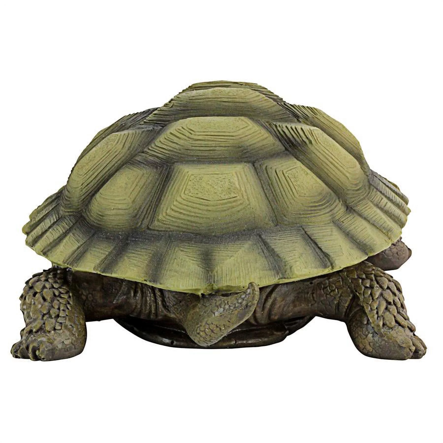 Design Toscano Gilbert, The Box Turtle Statue