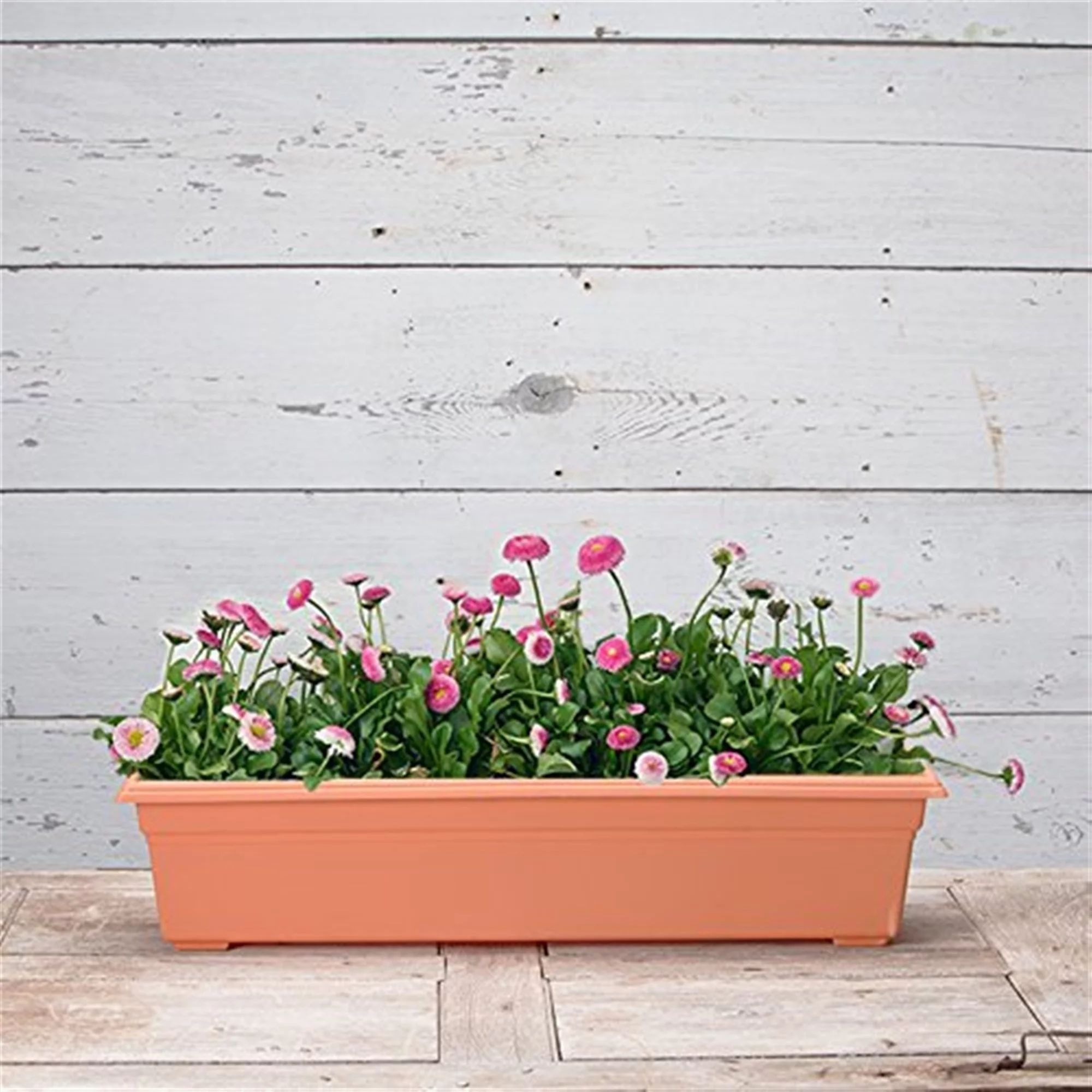 Novelty Countryside 30 In. Plastic Terra Flower Box Planter 16305