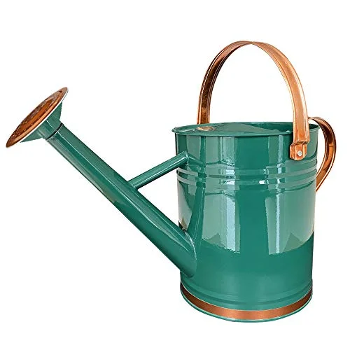 Galvanized Steel Watering Can Metal Watering Can for Outdoor Plants with Copper Accents 1 Gallon, Green