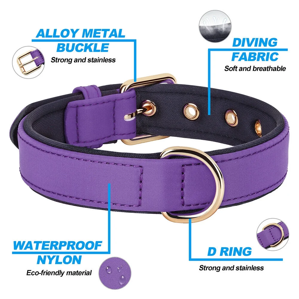 Didog Waterproof Nylon Dog Collar Soft Padded Adjustable Metal Buckle with D-Ring S-L