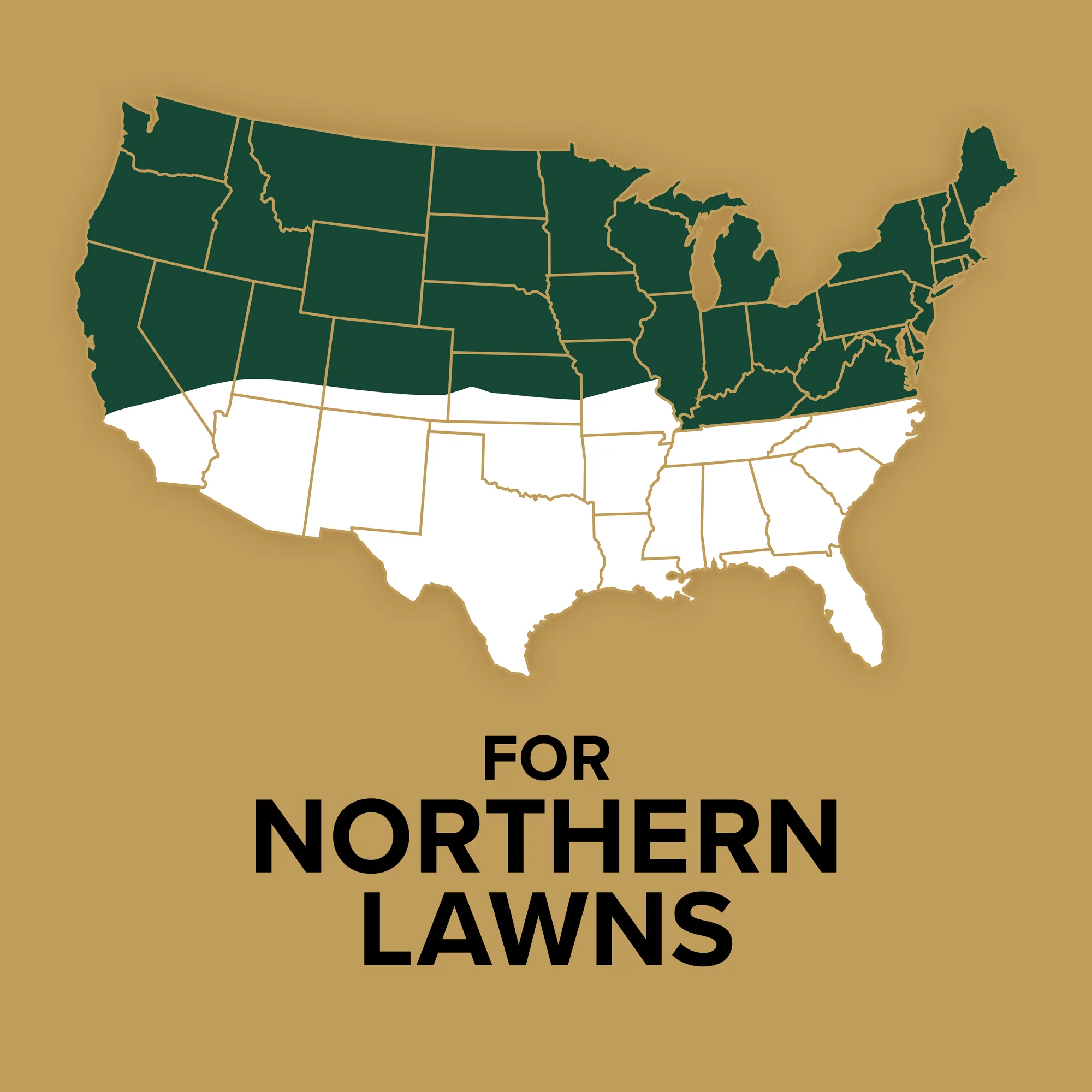 Scotts EZ Seed Patch & Repair Sun and Shade 20 lb.