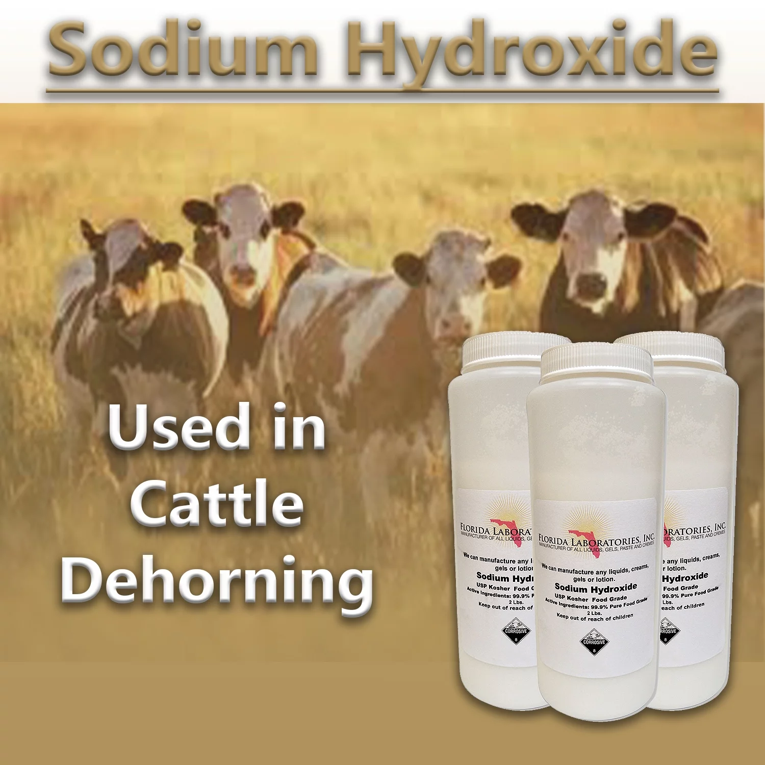 Sodium Hydroxide 99.9% Pure Food Grade Beads Caustic Soda lye 6 Lbs (Pounds)