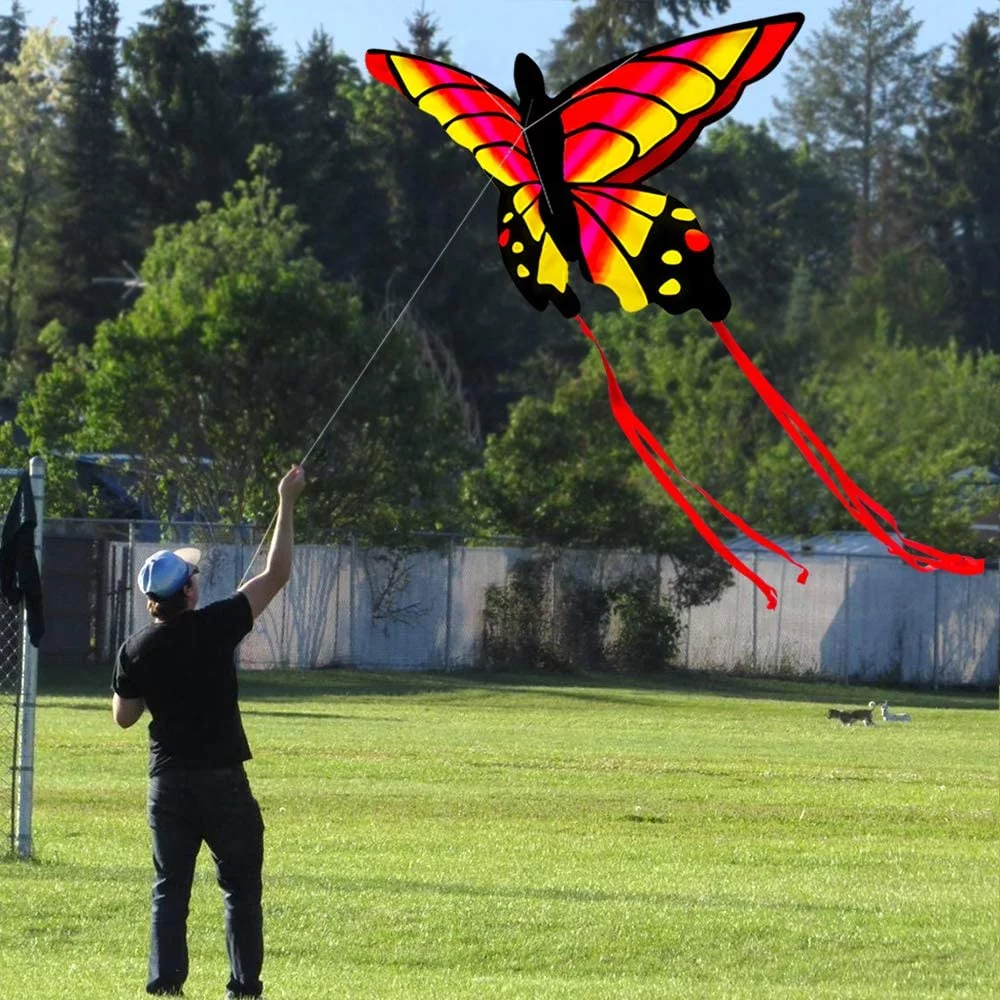 HENGDA KITE for Kids and Adults Amazing Colorful Butterfly Kite for Outdoor Games and Activities Single Line Kite with Flying Tools