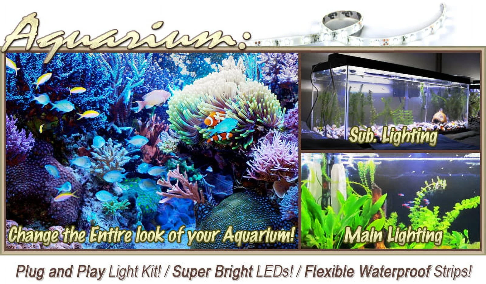 Biltek 16.4' ft Warm White Aquarium Tank Coral White LED Backlight Night Light On/Off Switch Control Kit - Main Lighting Fresh Water Salt Water Tanks Water Resistant 3528 SMD Flexible DIY 110V-220V