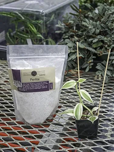 Sprig & Stone Fine Perlite (1 Quart)