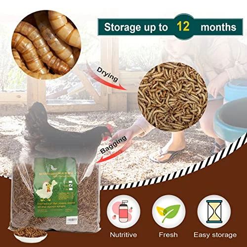 Non-GMO High-Protein Large Dried Mealworms for Chickens, Natural Grubs and Poultry Treats as Chicken Feed,Duck Food, Wild Birds Seed,Fish Food,Reptile Food,Amphibian Food(Mealworms-11LB)