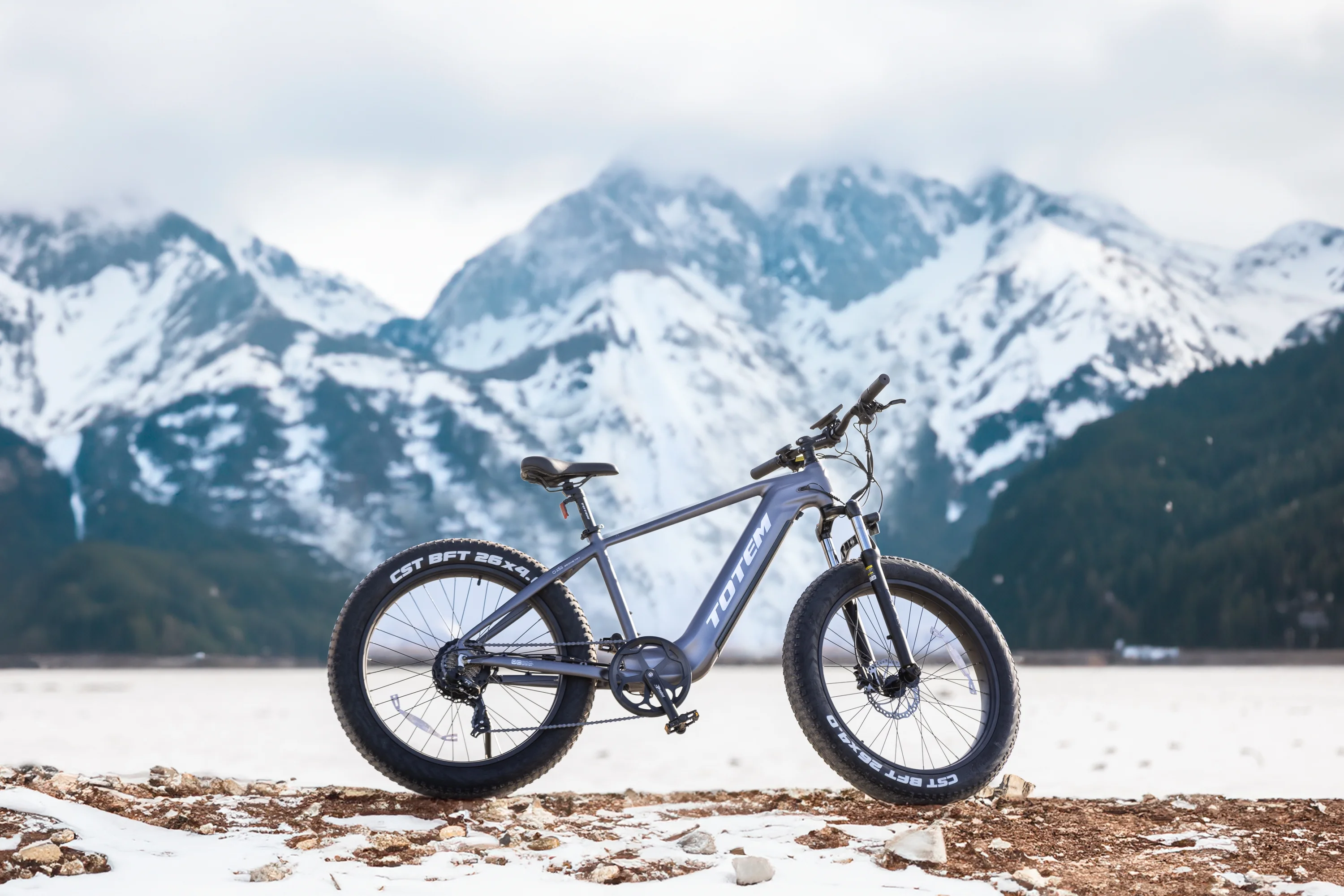 TOTEM Bulldog Fat Tire Adult Electric Bike, 26