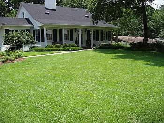 TifBlair Centipede Grass Seed (1 Lb.) Direct from The Farm