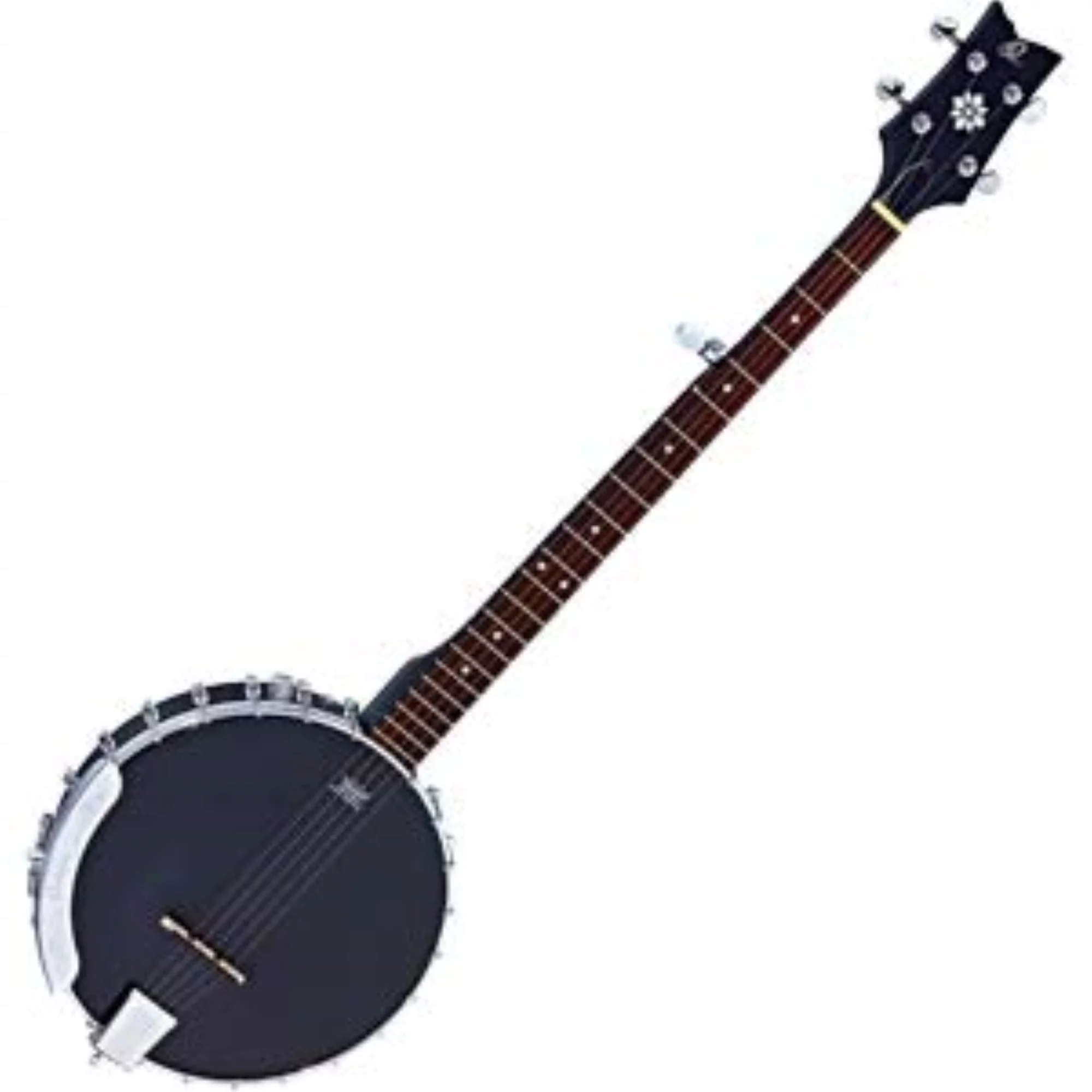 Raven Series 5-String Open Back Acoustic-Electric Banjo with Bag