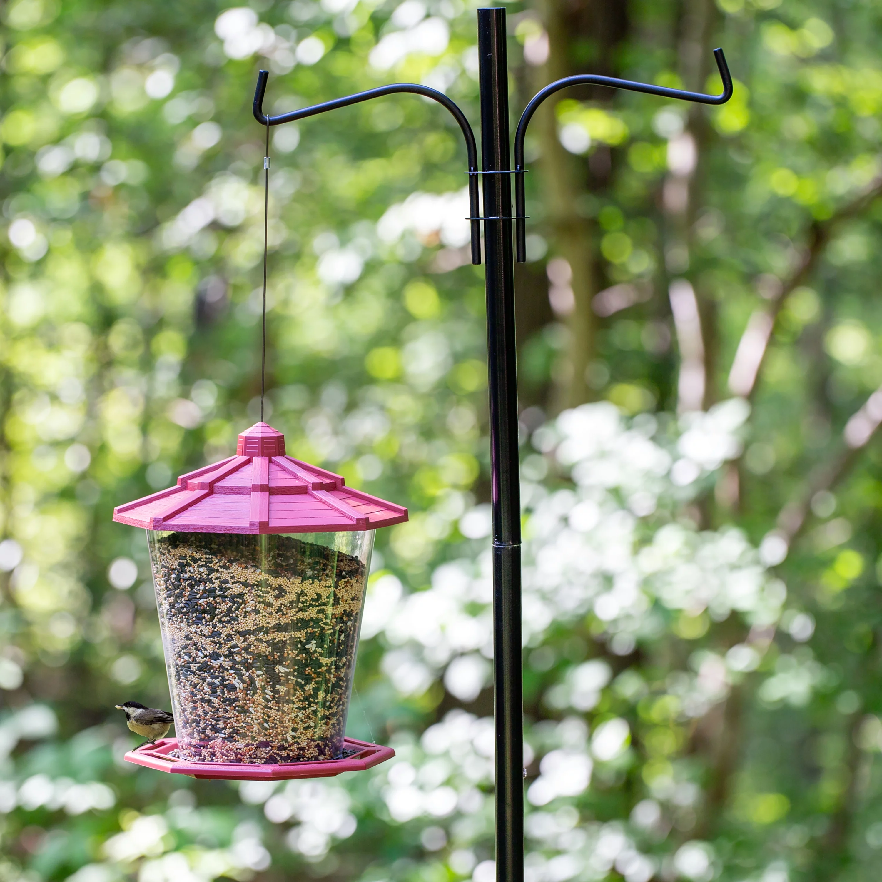 Pennington Earth Smart Red Recycled Resin Grand Ecozebo Wild Bird Feeder,  Jumbo 10 lb. Capacity, 1 Pack